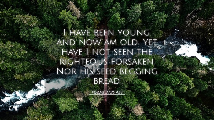 Picture 05 - Psalms 37:25 ASV Desktop Wallpaper - I have been young, and now am old; Yet have I not - Desktop Bible Verse Wallpaper