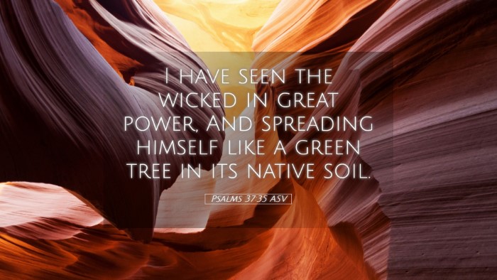 Picture 05 - Psalms 37:35 ASV Desktop Wallpaper - I have seen the wicked in great power, And - Desktop Bible Verse Wallpaper