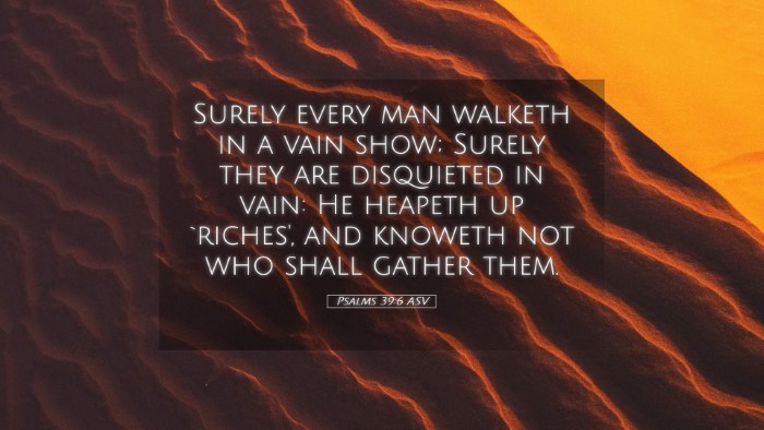 Picture 05 - Psalms 39:6 ASV Desktop Wallpaper - Surely every man walketh in a vain show; Surely - Desktop Bible Verse Wallpaper