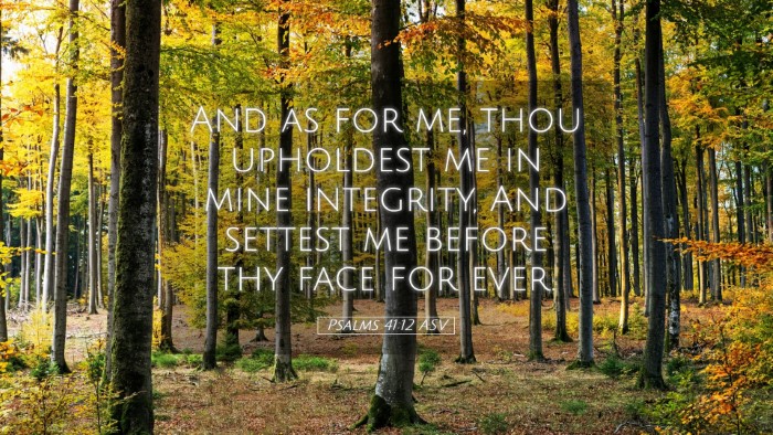Picture 05 - Psalms 41:12 ASV Desktop Wallpaper - And as for me, thou upholdest me in mine - Desktop Bible Verse Wallpaper