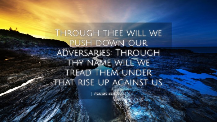 Picture 05 - Psalms 44:5 ASV Desktop Wallpaper - Through thee will we push down our adversaries: - Desktop Bible Verse Wallpaper