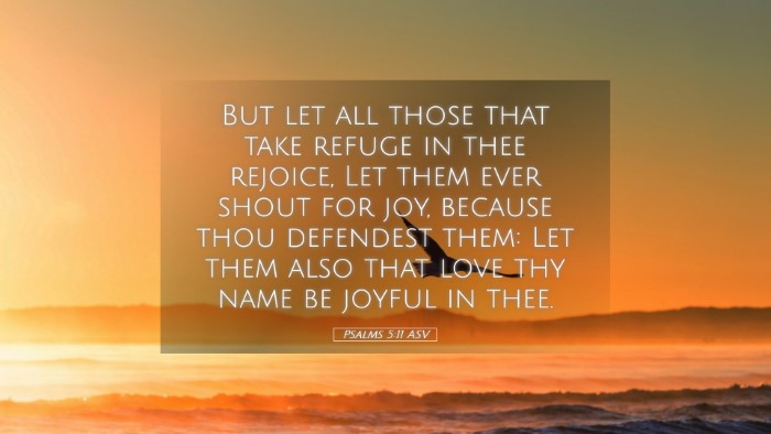 Picture 05 - Psalms 5:11 ASV Desktop Wallpaper - But let all those that take refuge in thee - Desktop Bible Verse Wallpaper