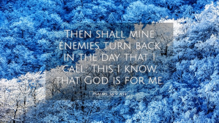 Picture 05 - Psalms 56:9 ASV Desktop Wallpaper - Then shall mine enemies turn back in the day that - Desktop Bible Verse Wallpaper