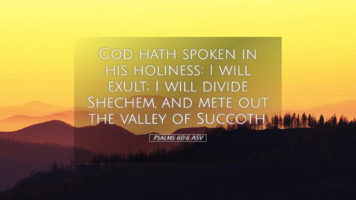 Picture 05 - Psalms 60:6 ASV Desktop Wallpaper - God hath spoken in his holiness: I will exult; I - Desktop Bible Verse Wallpaper