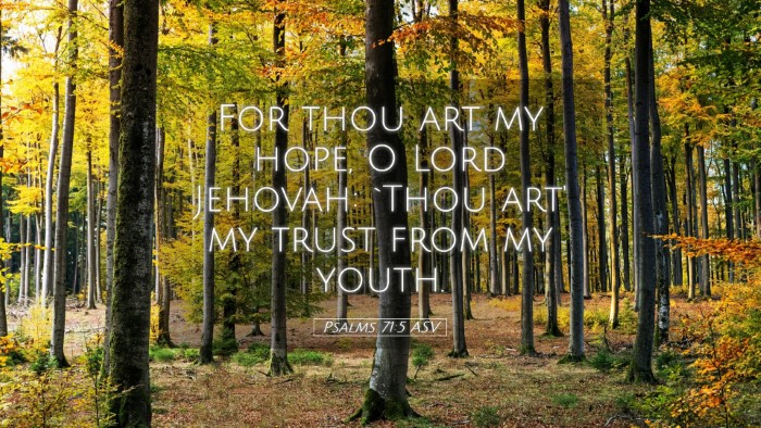 Picture 05 - Psalms 71:5 ASV Desktop Wallpaper - For thou art my hope, O Lord Jehovah: `Thou art' - Desktop Bible Verse Wallpaper