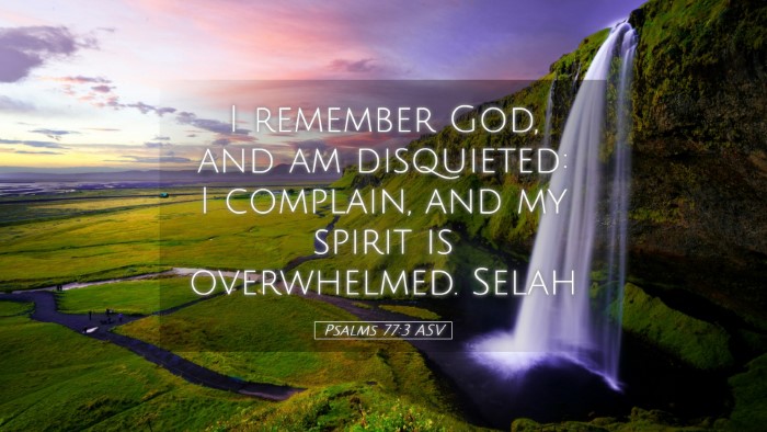 Picture 05 - Psalms 77:3 ASV Desktop Wallpaper - I remember God, and am disquieted: I complain, - Desktop Bible Verse Wallpaper