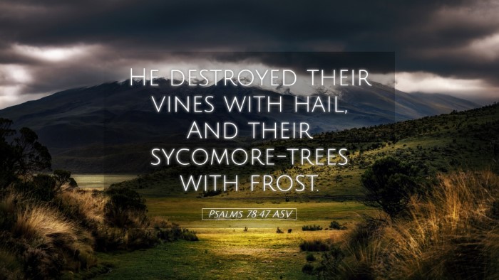 Picture 05 - Psalms 78:47 ASV Desktop Wallpaper - He destroyed their vines with hail, And their - Desktop Bible Verse Wallpaper