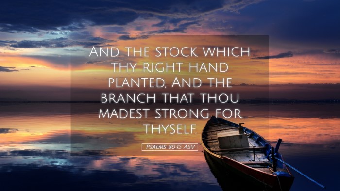 Picture 05 - Psalms 80:15 ASV Desktop Wallpaper - And the stock which thy right hand planted, And - Desktop Bible Verse Wallpaper