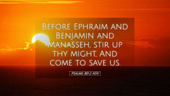 Picture 05 - Psalms 80:2 ASV Desktop Wallpaper - Before Ephraim and Benjamin and Manasseh, stir up - Desktop Bible Verse Wallpaper