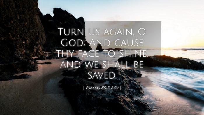 Picture 05 - Psalms 80:3 ASV Desktop Wallpaper - Turn us again, O God; And cause thy face to - Desktop Bible Verse Wallpaper