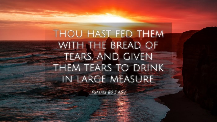 Picture 05 - Psalms 80:5 ASV Desktop Wallpaper - Thou hast fed them with the bread of tears, And - Desktop Bible Verse Wallpaper