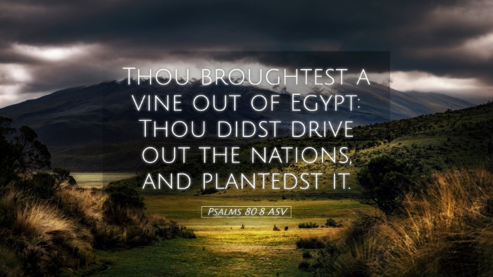 Picture 05 - Psalms 80:8 ASV Desktop Wallpaper - Thou broughtest a vine out of Egypt: Thou didst - Desktop Bible Verse Wallpaper
