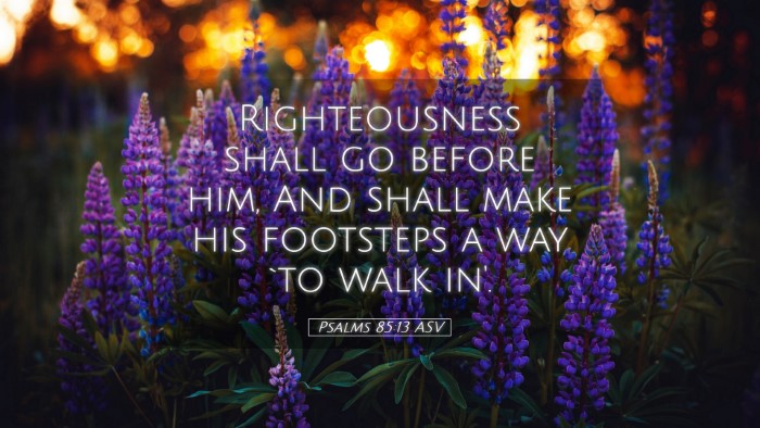 Picture 05 - Psalms 85:13 ASV Desktop Wallpaper - Righteousness shall go before him, And shall make - Desktop Bible Verse Wallpaper