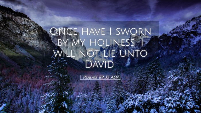 Picture 05 - Psalms 89:35 ASV Desktop Wallpaper - Once have I sworn by my holiness: I will not lie - Desktop Bible Verse Wallpaper