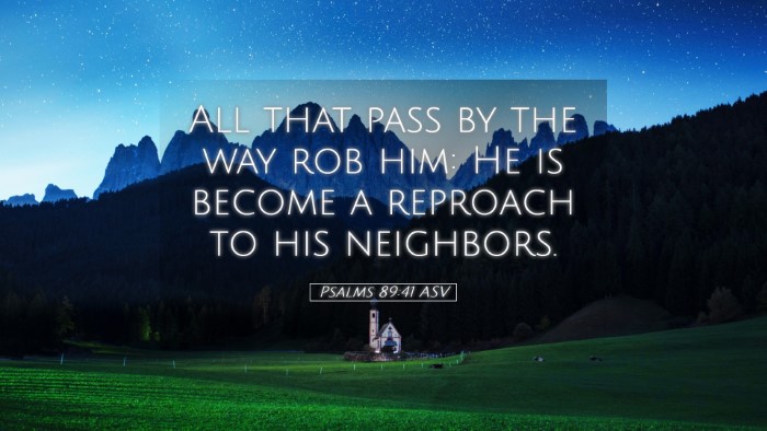 Picture 05 - Psalms 89:41 ASV Desktop Wallpaper - All that pass by the way rob him: He is become a - Desktop Bible Verse Wallpaper