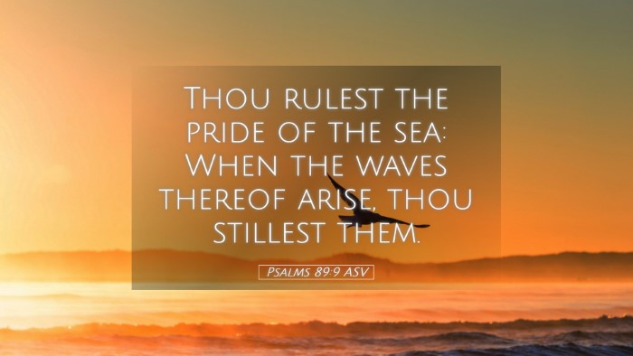 Picture 05 - Psalms 89:9 ASV Desktop Wallpaper - Thou rulest the pride of the sea: When the waves - Desktop Bible Verse Wallpaper