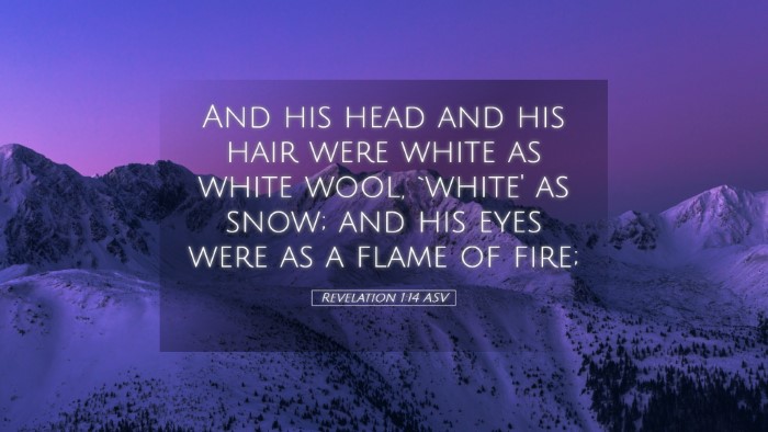 Picture 05 - Revelation 1:14 ASV Desktop Wallpaper - And his head and his hair were white as white - Desktop Bible Verse Wallpaper