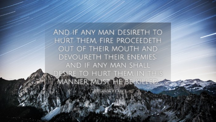 Picture 05 - Revelation 11:5 ASV Desktop Wallpaper - And if any man desireth to hurt them, fire - Desktop Bible Verse Wallpaper