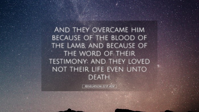 Picture 05 - Revelation 12:11 ASV Desktop Wallpaper - And they overcame him because of the blood of the - Desktop Bible Verse Wallpaper