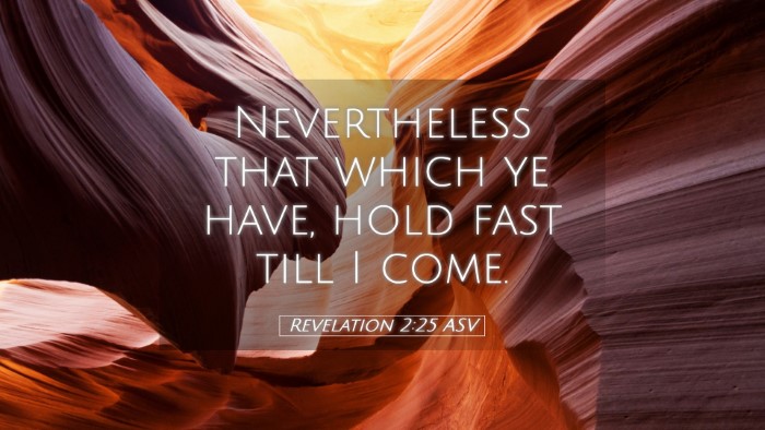 Picture 05 - Revelation 2:25 ASV Desktop Wallpaper - Nevertheless that which ye have, hold fast till I - Desktop Bible Verse Wallpaper