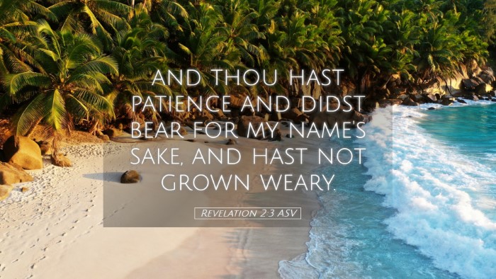 Picture 05 - Revelation 2:3 ASV Desktop Wallpaper - and thou hast patience and didst bear for my - Desktop Bible Verse Wallpaper