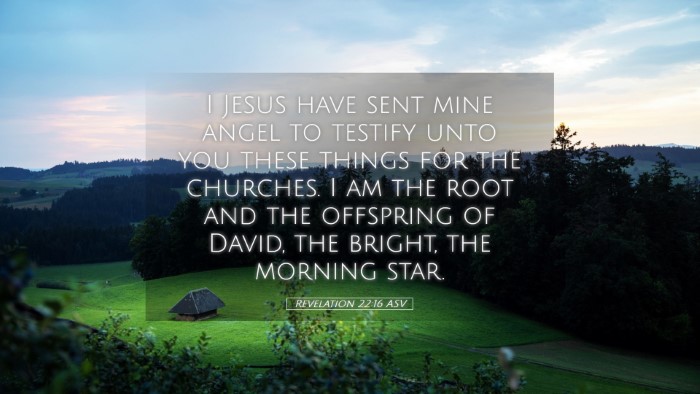 Picture 05 - Revelation 22:16 ASV Desktop Wallpaper - I Jesus have sent mine angel to testify unto you - Desktop Bible Verse Wallpaper