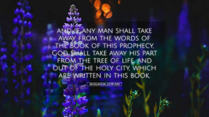 Picture 05 - Revelation 22:19 ASV Desktop Wallpaper - and if any man shall take away from the words of - Desktop Bible Verse Wallpaper