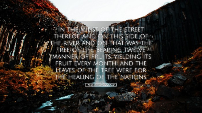 Picture 05 - Revelation 22:2 ASV Desktop Wallpaper - in the midst of the street thereof. And on this - Desktop Bible Verse Wallpaper