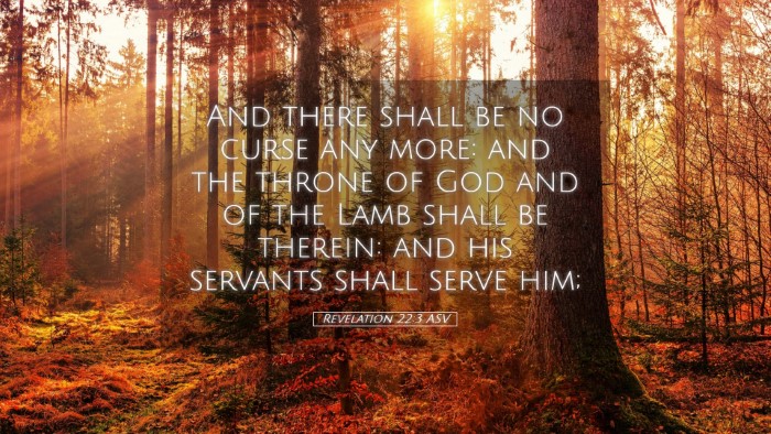Picture 05 - Revelation 22:3 ASV Desktop Wallpaper - And there shall be no curse any more: and the - Desktop Bible Verse Wallpaper