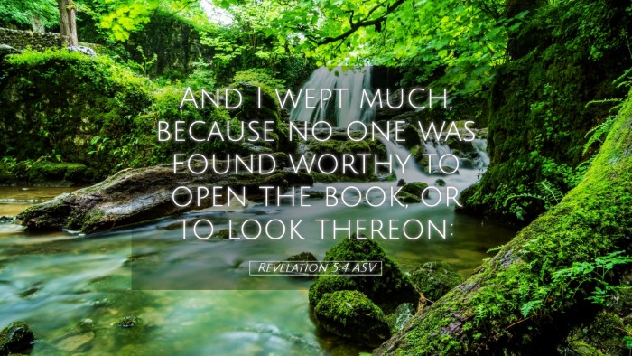 Picture 05 - Revelation 5:4 ASV Desktop Wallpaper - And I wept much, because no one was found worthy - Desktop Bible Verse Wallpaper