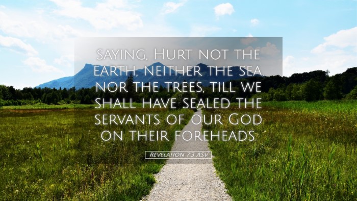Picture 05 - Revelation 7:3 ASV Desktop Wallpaper - saying, Hurt not the earth, neither the sea, nor - Desktop Bible Verse Wallpaper