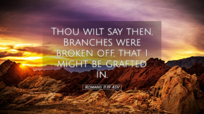 Picture 05 - Romans 11:19 ASV Desktop Wallpaper - Thou wilt say then, Branches were broken off, - Desktop Bible Verse Wallpaper