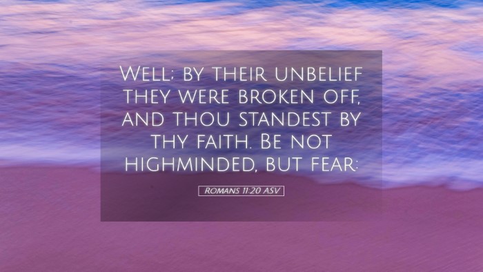 Picture 05 - Romans 11:20 ASV Desktop Wallpaper - Well; by their unbelief they were broken off, and - Desktop Bible Verse Wallpaper