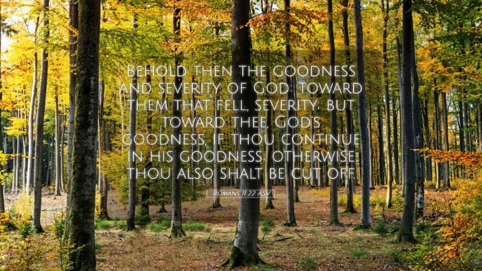 Picture 05 - Romans 11:22 ASV Desktop Wallpaper - Behold then the goodness and severity of God: - Desktop Bible Verse Wallpaper