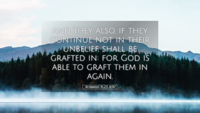 Picture 05 - Romans 11:23 ASV Desktop Wallpaper - And they also, if they continue not in their - Desktop Bible Verse Wallpaper