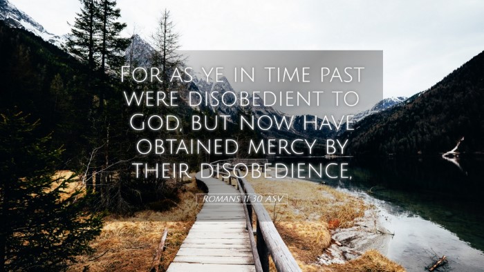 Picture 05 - Romans 11:30 ASV Desktop Wallpaper - For as ye in time past were disobedient to God, - Desktop Bible Verse Wallpaper