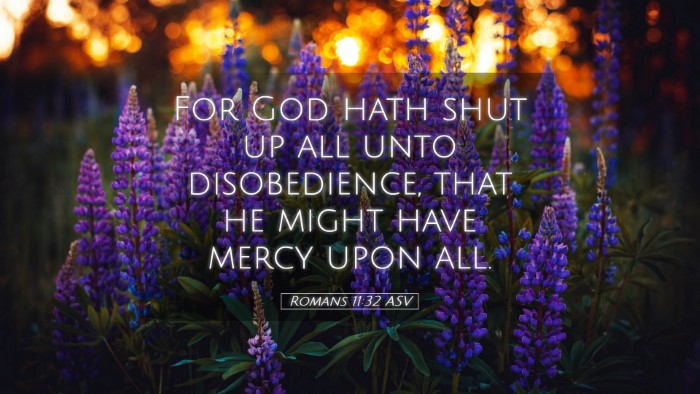 Picture 05 - Romans 11:32 ASV Desktop Wallpaper - For God hath shut up all unto disobedience, that - Desktop Bible Verse Wallpaper