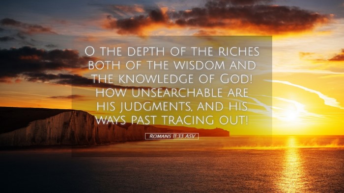Picture 05 - Romans 11:33 ASV Desktop Wallpaper - O the depth of the riches both of the wisdom and - Desktop Bible Verse Wallpaper