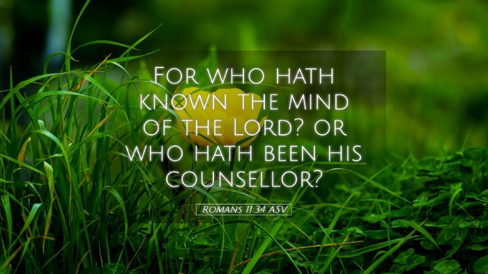 Picture 05 - Romans 11:34 ASV Desktop Wallpaper - For who hath known the mind of the Lord? or who - Desktop Bible Verse Wallpaper