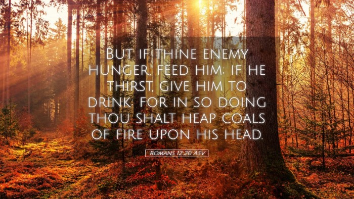 Picture 05 - Romans 12:20 ASV Desktop Wallpaper - But if thine enemy hunger, feed him; if he - Desktop Bible Verse Wallpaper