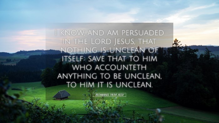 Picture 05 - Romans 14:14 ASV Desktop Wallpaper - I know, and am persuaded in the Lord Jesus, that - Desktop Bible Verse Wallpaper
