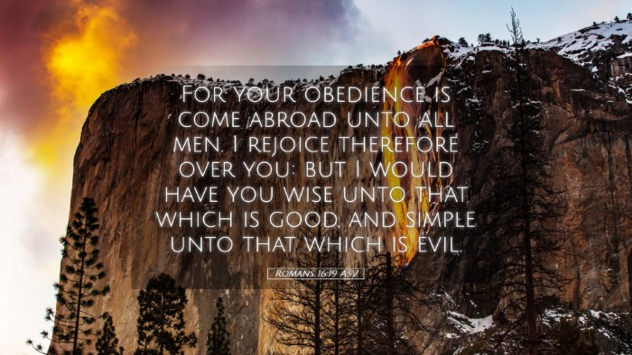 Picture 05 - Romans 16:19 ASV Desktop Wallpaper - For your obedience is come abroad unto all men. I - Desktop Bible Verse Wallpaper