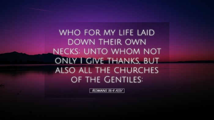 Picture 05 - Romans 16:4 ASV Desktop Wallpaper - who for my life laid down their own necks; unto - Desktop Bible Verse Wallpaper