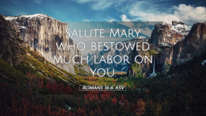 Picture 05 - Romans 16:6 ASV Desktop Wallpaper - Salute Mary, who bestowed much labor on - Desktop Bible Verse Wallpaper