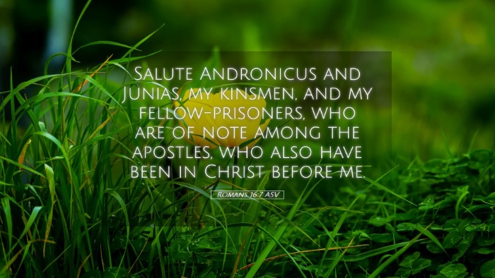 Picture 05 - Romans 16:7 ASV Desktop Wallpaper - Salute Andronicus and Junias, my kinsmen, and my - Desktop Bible Verse Wallpaper