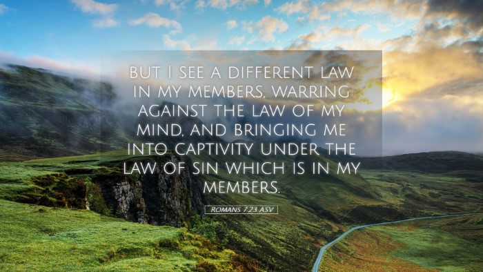 Picture 05 - Romans 7:23 ASV Desktop Wallpaper - but I see a different law in my members, warring - Desktop Bible Verse Wallpaper
