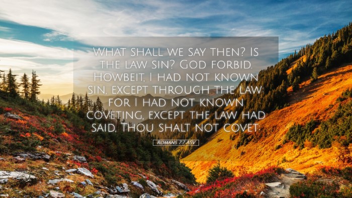 Picture 05 - Romans 7:7 ASV Desktop Wallpaper - What shall we say then? Is the law sin? God - Desktop Bible Verse Wallpaper