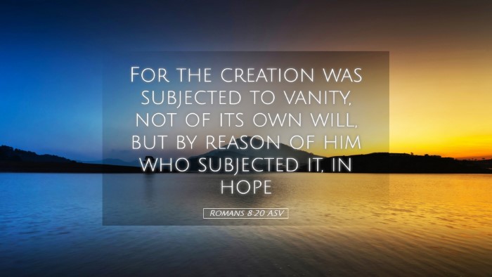 Picture 05 - Romans 8:20 ASV Desktop Wallpaper - For the creation was subjected to vanity, not of - Desktop Bible Verse Wallpaper