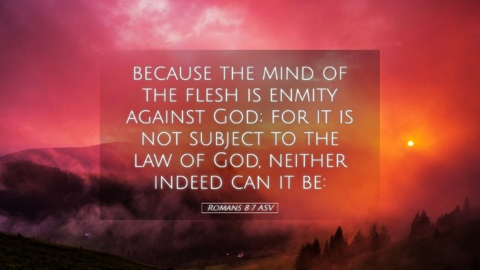Picture 05 - Romans 8:7 ASV Desktop Wallpaper - because the mind of the flesh is enmity against - Desktop Bible Verse Wallpaper