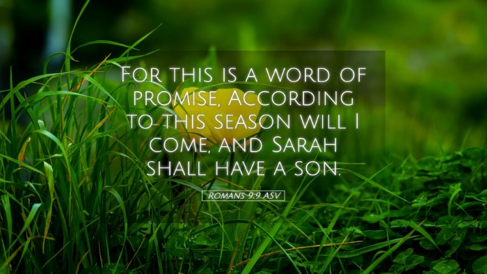 Picture 05 - Romans 9:9 ASV Desktop Wallpaper - For this is a word of promise, According to this - Desktop Bible Verse Wallpaper